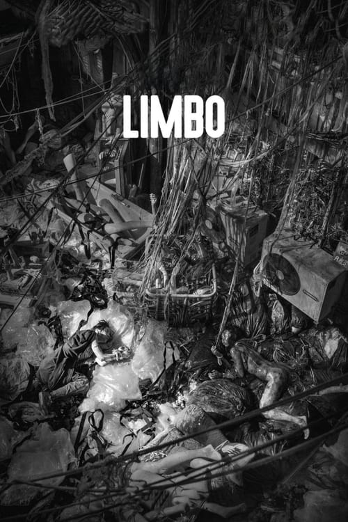 Limbo 2021