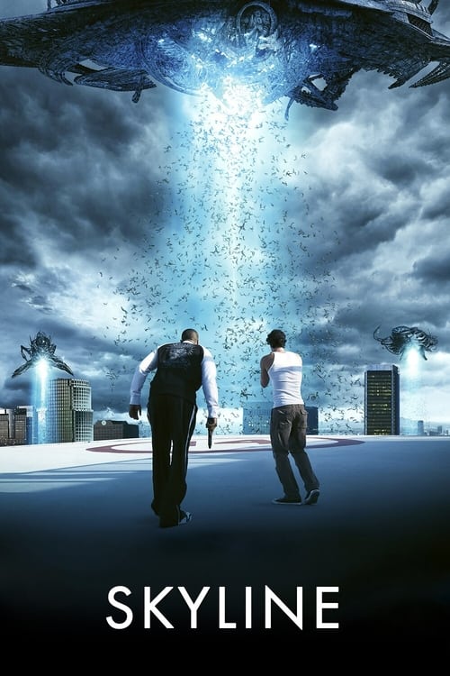 Skyline 2010