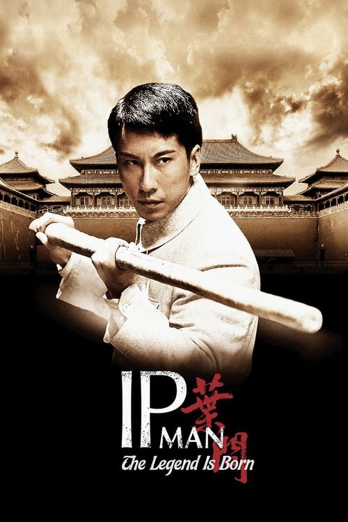 The Legend Is Born: Ip Man 2010