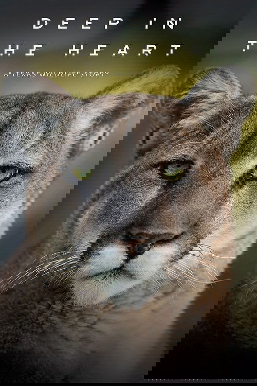 Deep in the Heart: A Texas Wildlife Story 2022