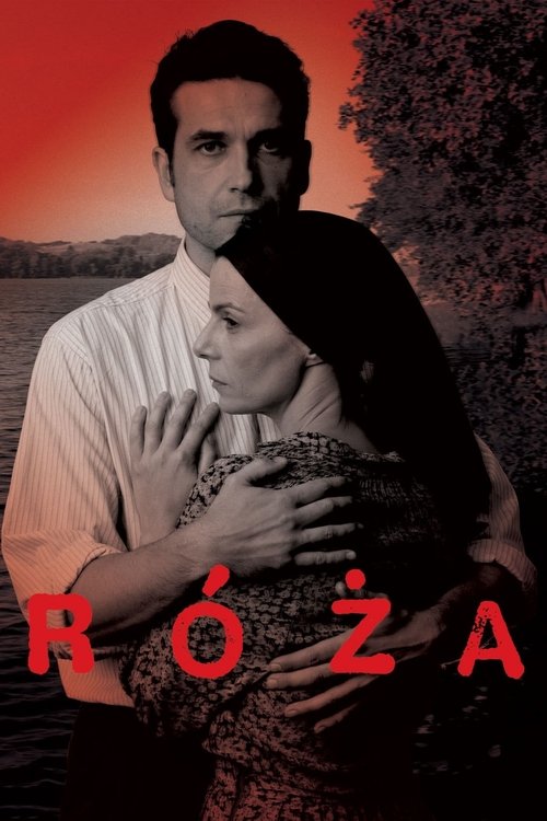Rose 2011