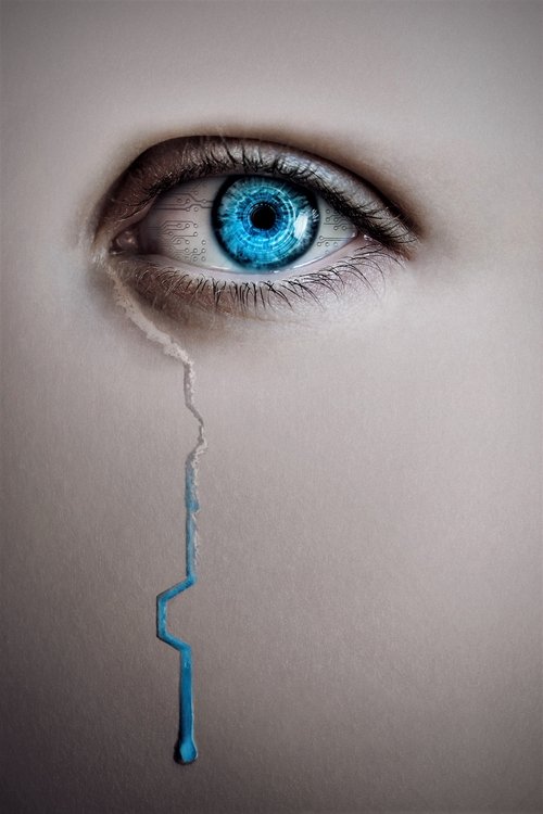 The Artifice Girl 2022