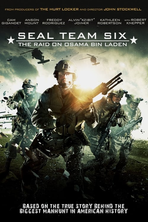 Seal Team Six: The Raid on Osama Bin Laden 2012