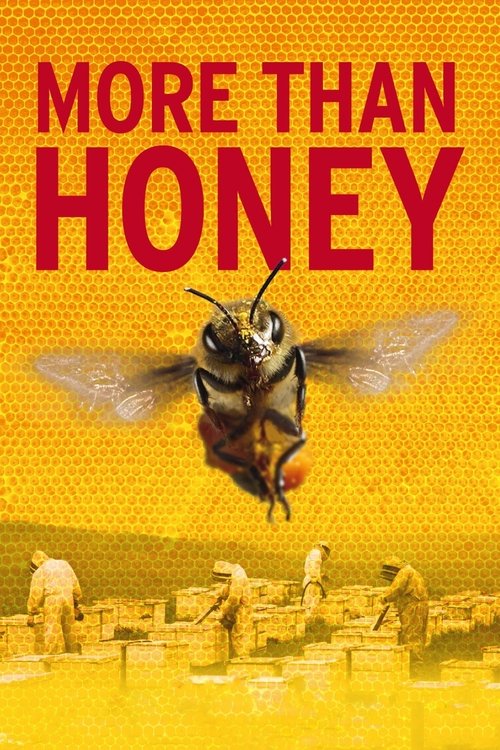 More Than Honey 2012