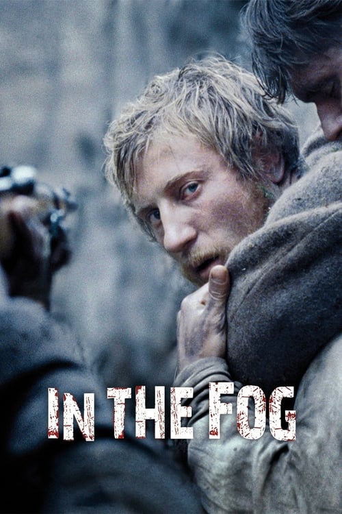 In the Fog 2012