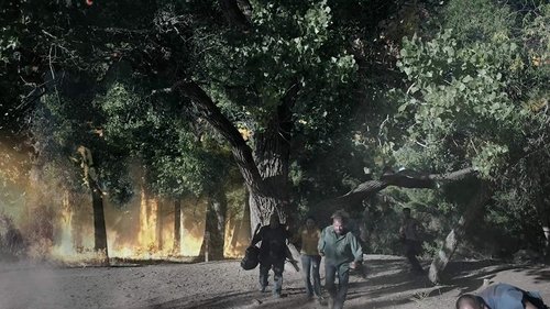 طوفانی با سرعت ۵۰۰ مایل