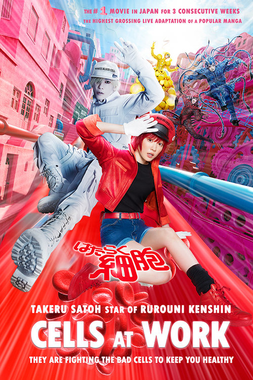Cells at Work! 2024