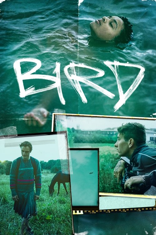 Bird 2024