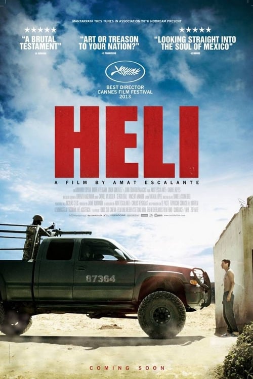 Heli 2013