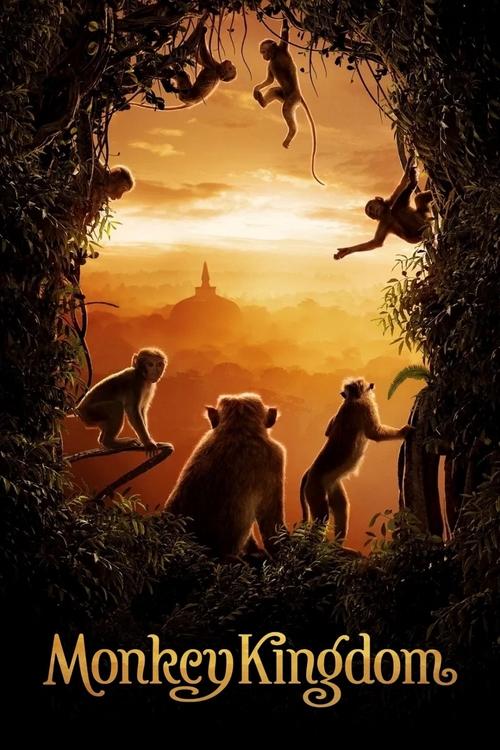 Monkey Kingdom 2015
