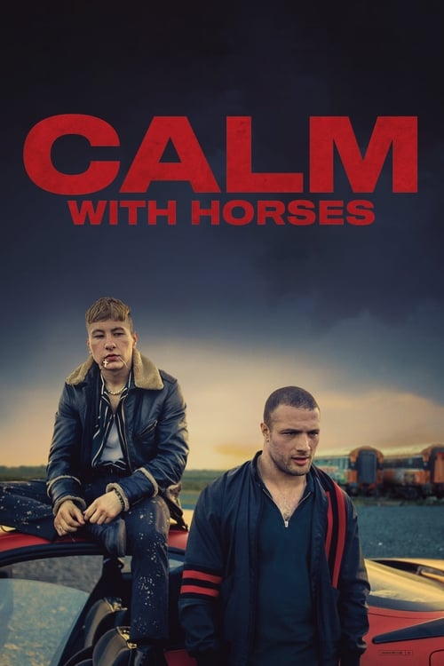 Calm with Horses 2019