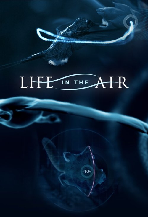 The Wild Life 2016