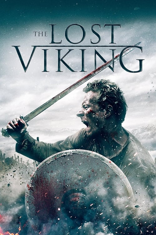 The Lost Viking 2018
