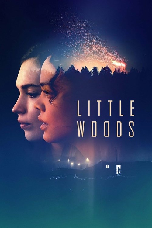 Little Woods 2018