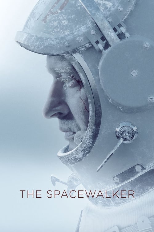 Spacewalk 2017