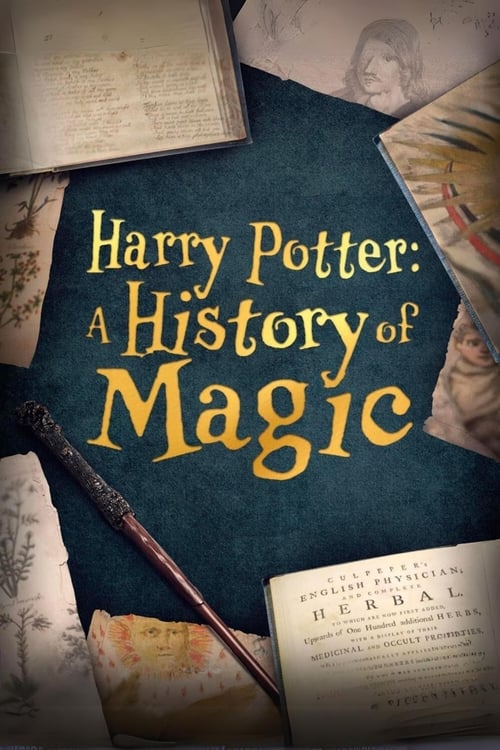 Harry Potter: A History of Magic 2017