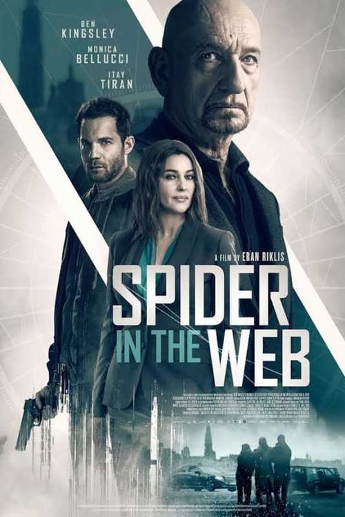 Spider in the Web 2019
