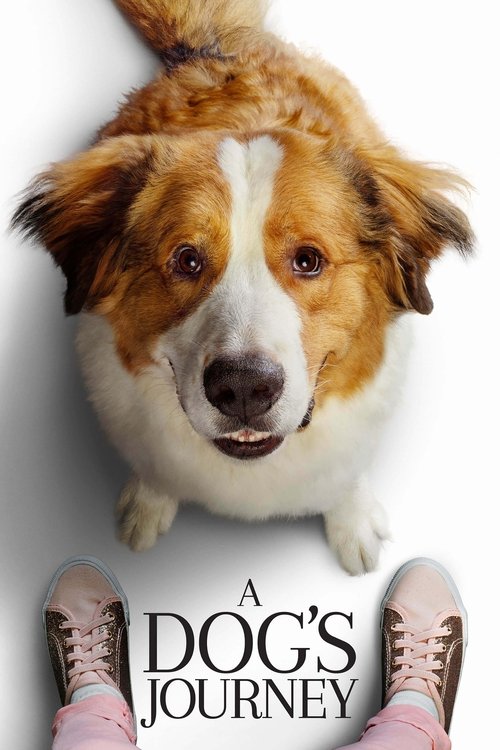A Dogs Journey 2019