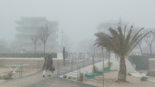ریمینی