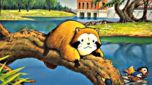 راسکال راکون