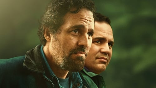 همینقدر را می دانم که حقیقت دارد