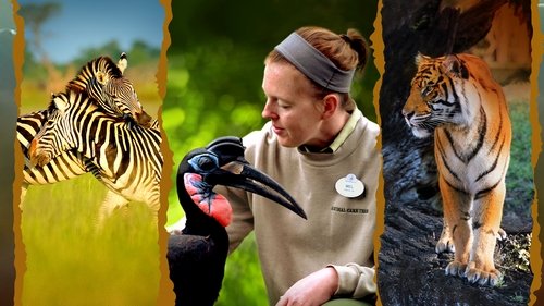 قلمروی جادویی حیوانات دیزنی