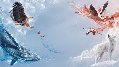 یک سیاره کامل