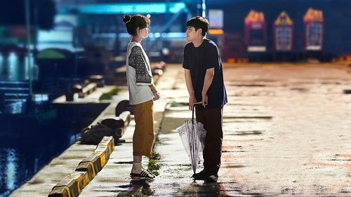 وقتی کاملیا شکوفا می شود