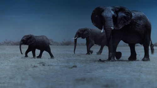 شب روی زمین