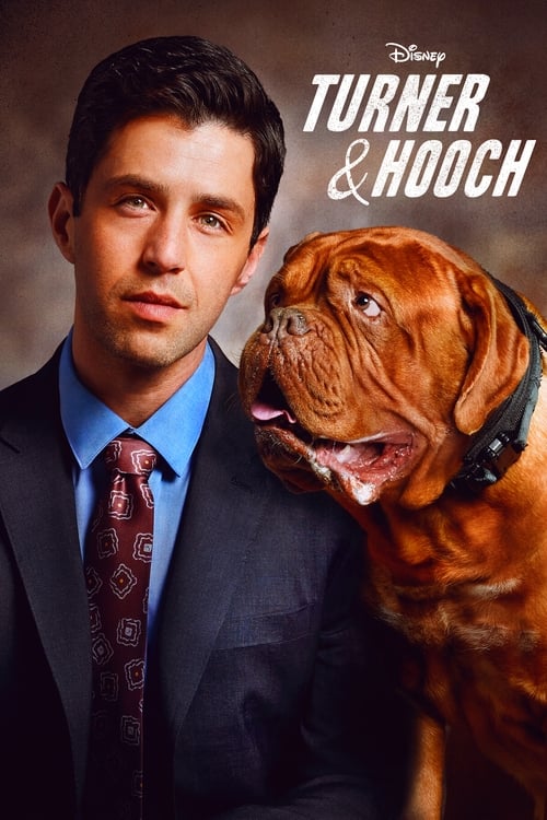 Turner & Hooch 2021