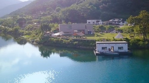 بی تی اس در جنگل