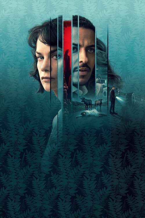 The Woman in the Wall