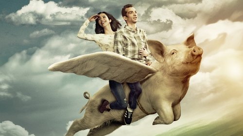 مردی به دنبال زن