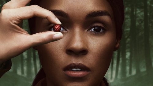 بازگشت به خانه