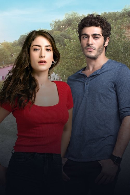 Our Story (Bizim Hikaye) 2017