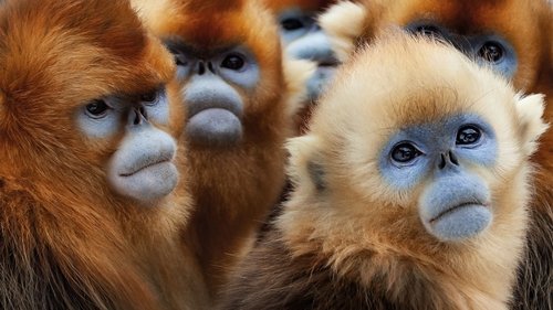 یک سیاره، هفت جهان