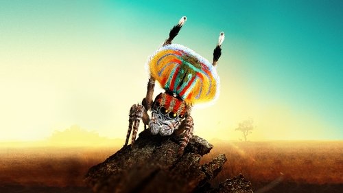 سرزمین جادویی آز