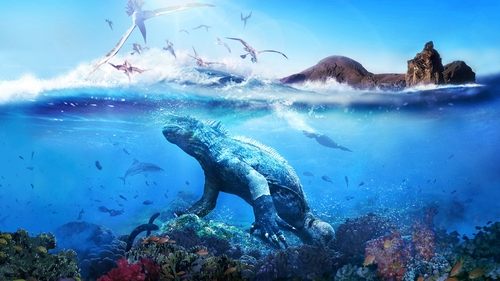 جزایر گالاپاگوس