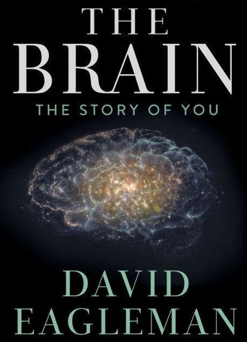 The Brain with Dr. David Eagleman