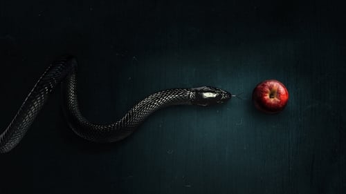 شر